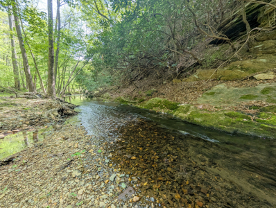 220.94 Acres Located In Patrick County, Va - image 14