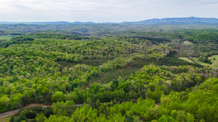 220.94 Acres Located In Patrick County, Va - image 9