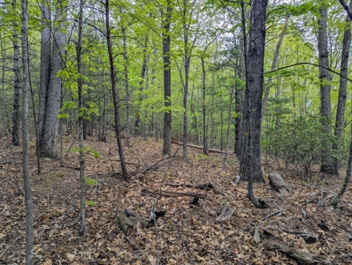 220.94 Acres Located In Patrick County, Va - image 13
