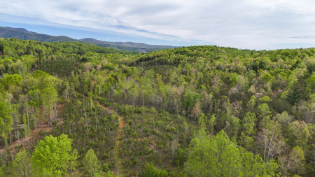 220.94 Acres Located In Patrick County, Va - image 10