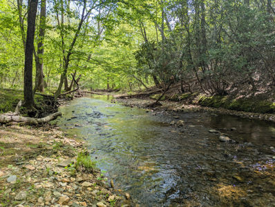 220.94 Acres Located In Patrick County, Va - image 2