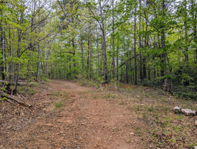 220.94 Acres Located In Patrick County, Va - image 19