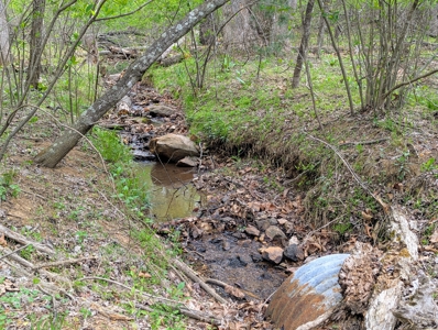 220.94 Acres Located In Patrick County, Va - image 17