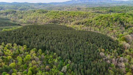 220.94 Acres Located In Patrick County, Va - image 8