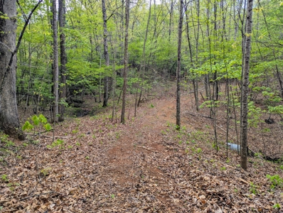 220.94 Acres Located In Patrick County, Va - image 16