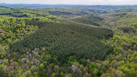 220.94 Acres Located In Patrick County, Va - image 5