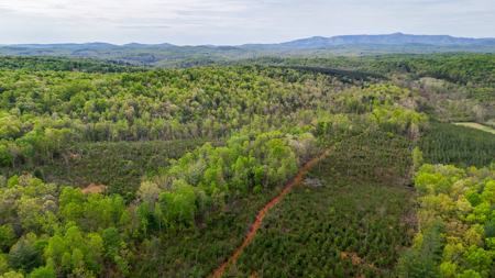 220.94 Acres Located In Patrick County, Va - image 4