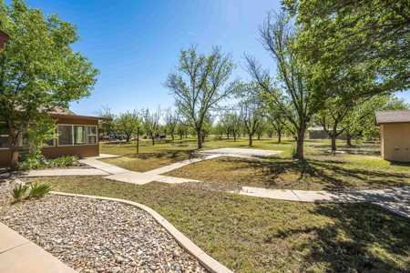 Custom Home with Dream Shop & Room for Horses in Mesilla Park, NM - image 33
