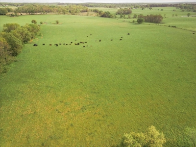Missouri Ozarks Farm Ground for Sale in Mountain View Missouri - image 32