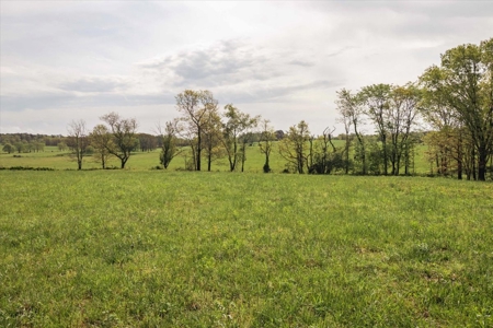 Missouri Ozarks Farm Ground for Sale in Mountain View Missouri - image 41
