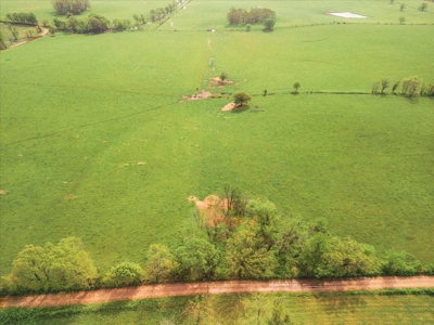 Missouri Ozarks Farm Ground for Sale in Mountain View Missouri - image 6