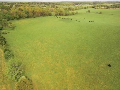 Missouri Ozarks Farm Ground for Sale in Mountain View Missouri - image 34