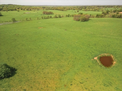 Missouri Ozarks Farm Ground for Sale in Mountain View Missouri - image 17