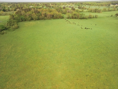 Missouri Ozarks Farm Ground for Sale in Mountain View Missouri - image 35