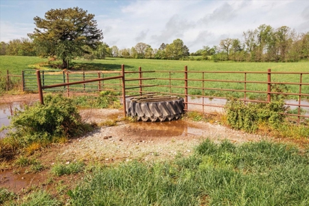 Missouri Ozarks Farm Ground for Sale in Mountain View Missouri - image 47