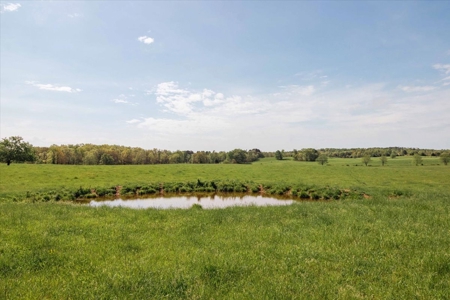 Missouri Ozarks Farm Ground for Sale in Mountain View Missouri - image 48