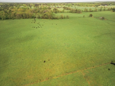 Missouri Ozarks Farm Ground for Sale in Mountain View Missouri - image 36