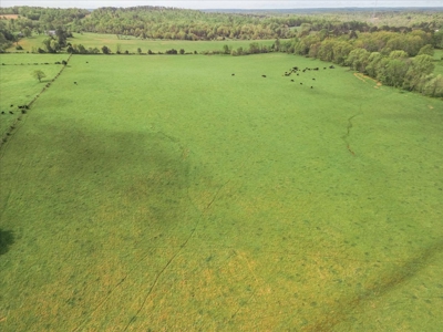 Missouri Ozarks Farm Ground for Sale in Mountain View Missouri - image 39
