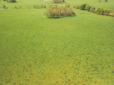 Missouri Ozarks Farm Ground for Sale in Mountain View Missouri - image 11