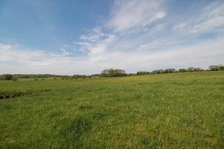 Missouri Ozarks Farm Ground for Sale in Mountain View Missouri - image 49