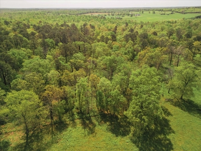 Missouri Ozarks Farm Ground for Sale in Mountain View Missouri - image 14