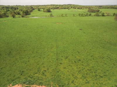 Missouri Ozarks Farm Ground for Sale in Mountain View Missouri - image 9