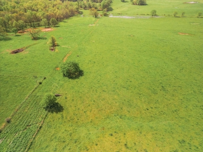 Missouri Ozarks Farm Ground for Sale in Mountain View Missouri - image 13