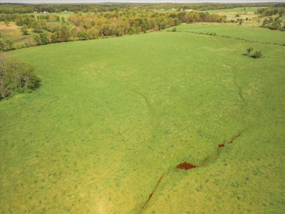 Missouri Ozarks Farm Ground for Sale in Mountain View Missouri - image 20