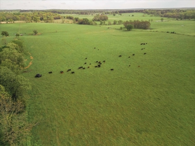 Missouri Ozarks Farm Ground for Sale in Mountain View Missouri - image 31
