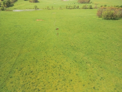 Missouri Ozarks Farm Ground for Sale in Mountain View Missouri - image 10