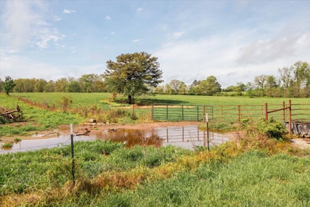Missouri Ozarks Farm Ground for Sale in Mountain View Missouri - image 45