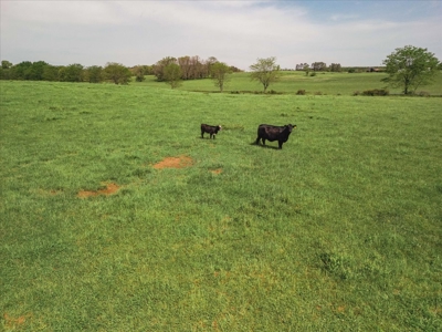 Missouri Ozarks Farm Ground for Sale in Mountain View Missouri - image 21
