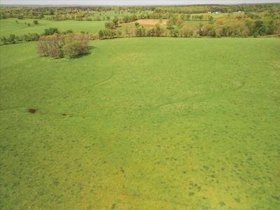 Missouri Ozarks Farm Ground for Sale in Mountain View Missouri - image 19