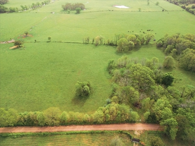 Missouri Ozarks Farm Ground for Sale in Mountain View Missouri - image 7