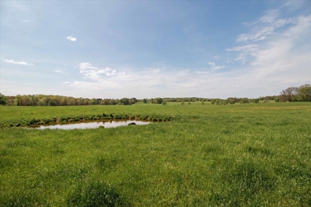 Missouri Ozarks Farm Ground for Sale in Mountain View Missouri - image 50
