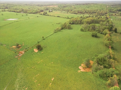 Missouri Ozarks Farm Ground for Sale in Mountain View Missouri - image 5