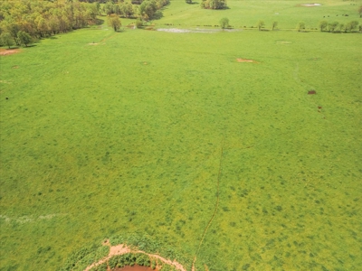 Missouri Ozarks Farm Ground for Sale in Mountain View Missouri - image 12