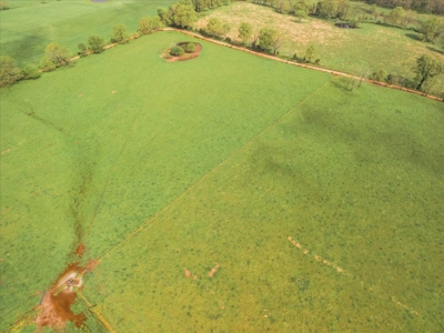 Missouri Ozarks Farm Ground for Sale in Mountain View Missouri - image 3