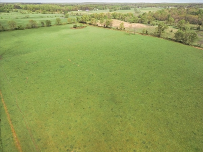 Missouri Ozarks Farm Ground for Sale in Mountain View Missouri - image 1