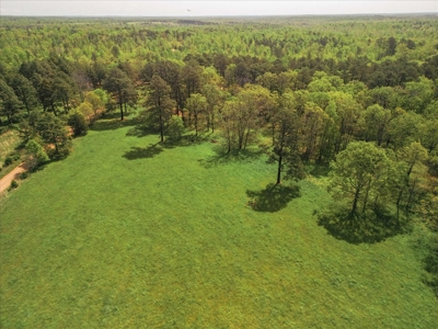 Missouri Ozarks Farm Ground for Sale in Mountain View Missouri - image 15