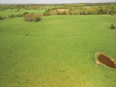 Missouri Ozarks Farm Ground for Sale in Mountain View Missouri - image 18