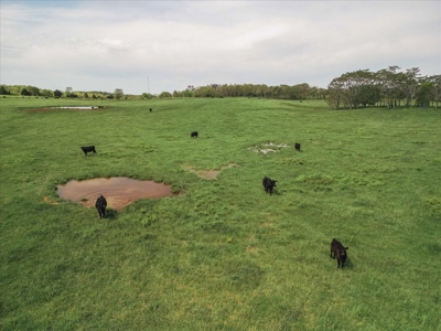 Missouri Ozarks Farm Ground for Sale in Mountain View Missouri - image 25