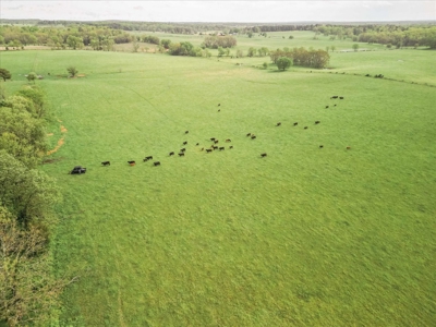Missouri Ozarks Farm Ground for Sale in Mountain View Missouri - image 30