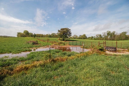 Missouri Ozarks Farm Ground for Sale in Mountain View Missouri - image 46