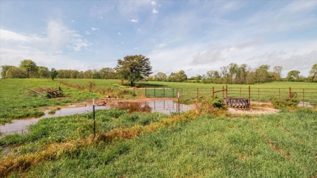 Missouri Ozarks Farm Ground for Sale in Mountain View Missouri - image 44