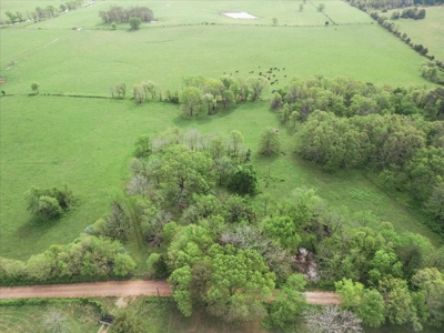 Missouri Ozarks Farm Ground for Sale in Mountain View Missouri - image 8