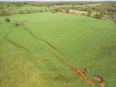 Missouri Ozarks Farm Ground for Sale in Mountain View Missouri - image 38