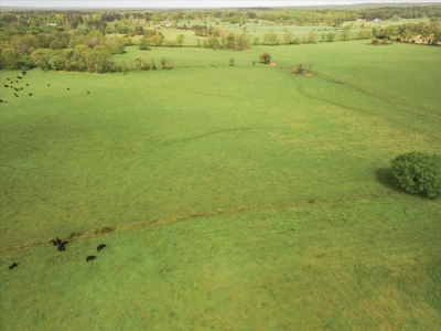 Missouri Ozarks Farm Ground for Sale in Mountain View Missouri - image 37