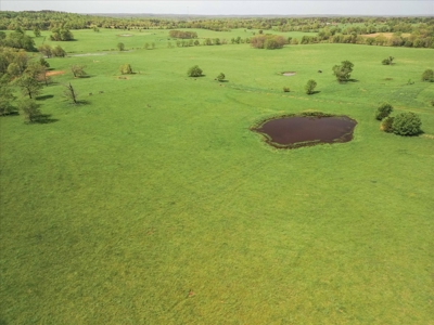 Missouri Ozarks Farm Ground for Sale in Mountain View Missouri - image 16