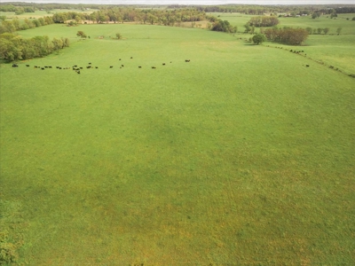 Missouri Ozarks Farm Ground for Sale in Mountain View Missouri - image 33